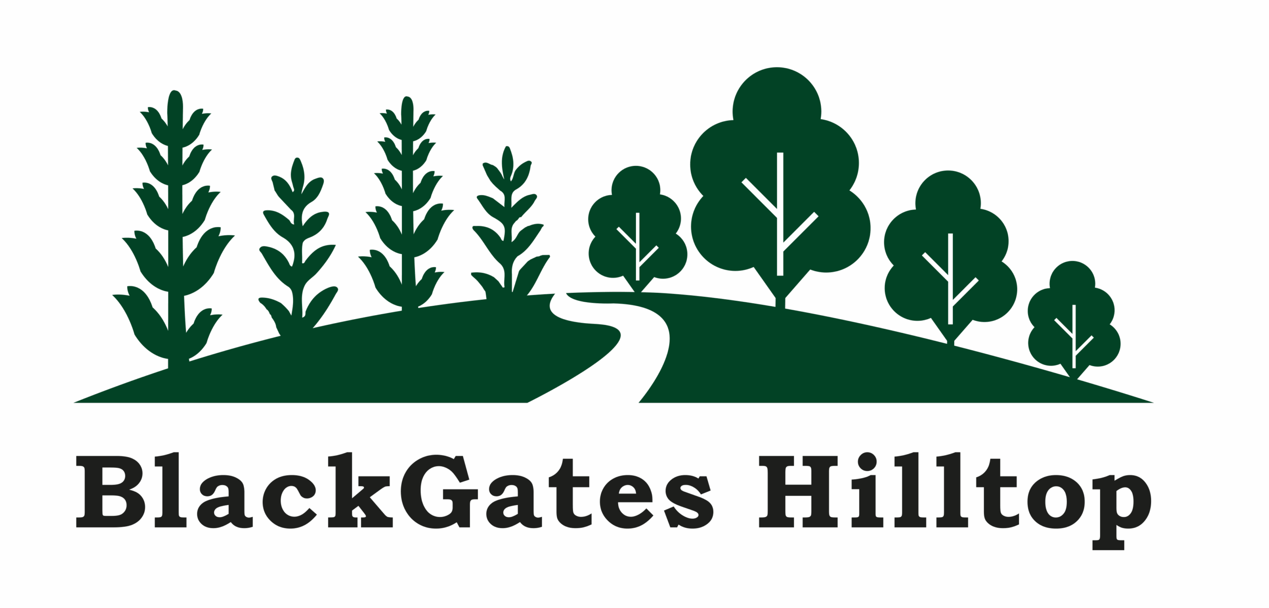 blackgates logo dark scaled