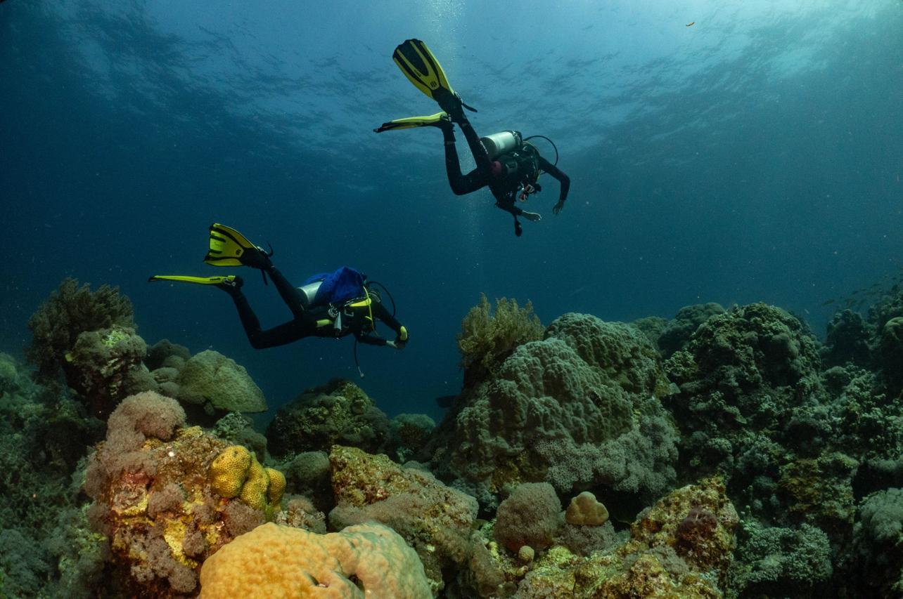 diving01