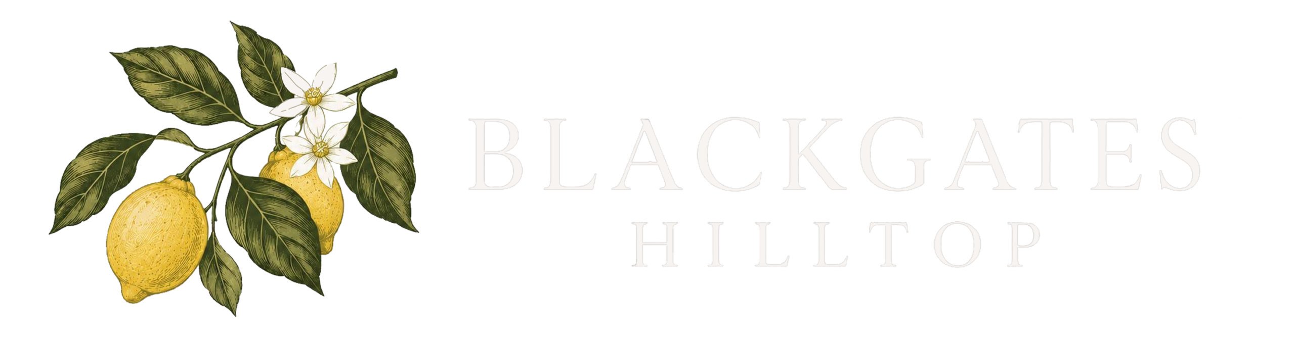 BlackGates Hilltop 15 BlackGates Hilltop Logo